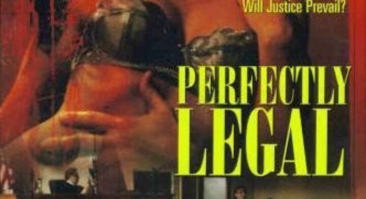 Poster for the movie "Perfectly Legal"